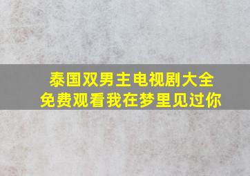 泰国双男主电视剧大全免费观看我在梦里见过你