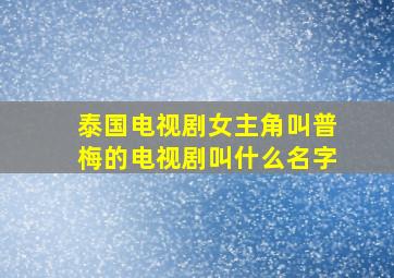 泰国电视剧女主角叫普梅的电视剧叫什么名字