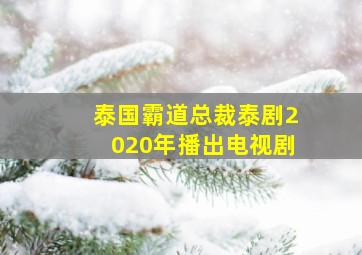 泰国霸道总裁泰剧2020年播出电视剧