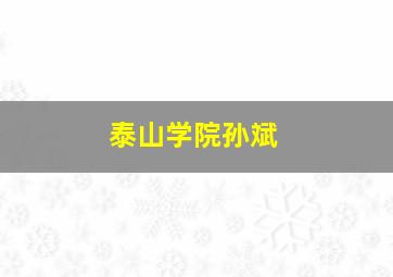 泰山学院孙斌