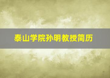 泰山学院孙明教授简历