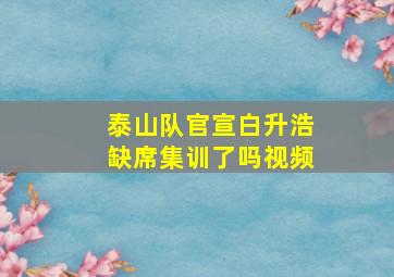 泰山队官宣白升浩缺席集训了吗视频