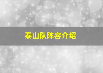 泰山队阵容介绍