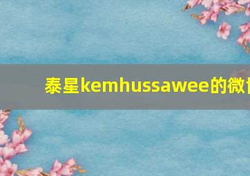 泰星kemhussawee的微博