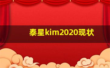 泰星kim2020现状