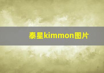 泰星kimmon图片