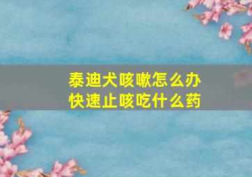 泰迪犬咳嗽怎么办快速止咳吃什么药