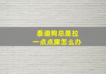 泰迪狗总是拉一点点屎怎么办