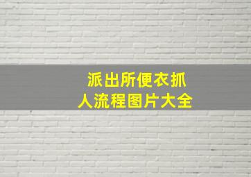 派出所便衣抓人流程图片大全