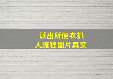 派出所便衣抓人流程图片真实