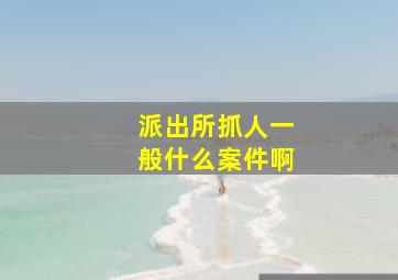 派出所抓人一般什么案件啊