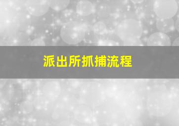 派出所抓捕流程