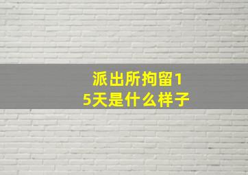 派出所拘留15天是什么样子