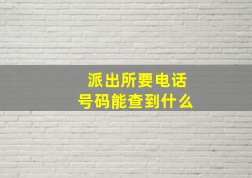 派出所要电话号码能查到什么