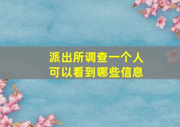 派出所调查一个人可以看到哪些信息