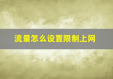 流量怎么设置限制上网