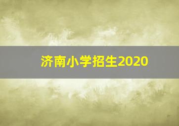 济南小学招生2020