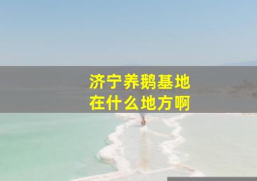 济宁养鹅基地在什么地方啊