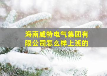 海南威特电气集团有限公司怎么样上班的