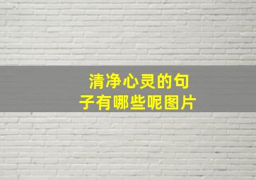 清净心灵的句子有哪些呢图片