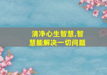 清净心生智慧,智慧能解决一切问题