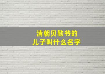 清朝贝勒爷的儿子叫什么名字