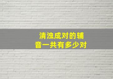 清浊成对的辅音一共有多少对