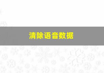 清除语音数据