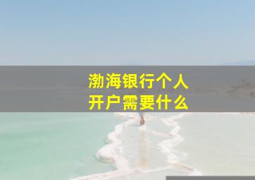 渤海银行个人开户需要什么