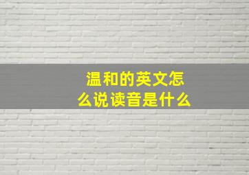 温和的英文怎么说读音是什么