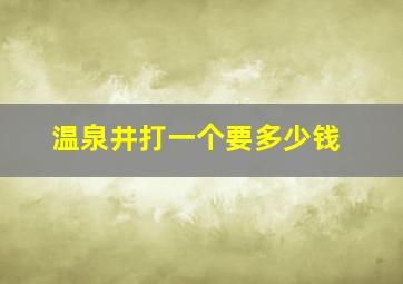 温泉井打一个要多少钱