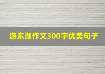 游东湖作文300字优美句子