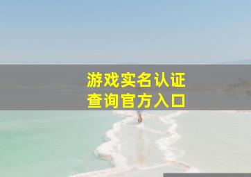 游戏实名认证查询官方入口