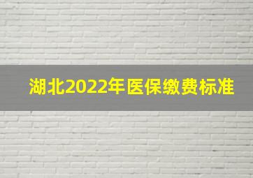 湖北2022年医保缴费标准