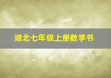 湖北七年级上册数学书