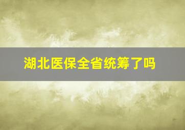 湖北医保全省统筹了吗