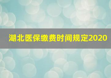 湖北医保缴费时间规定2020