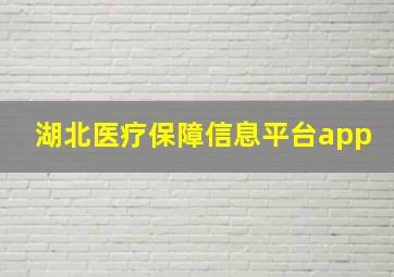 湖北医疗保障信息平台app