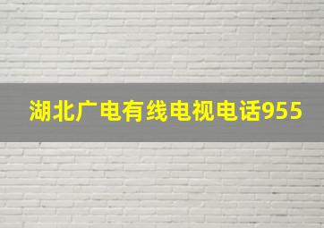 湖北广电有线电视电话955