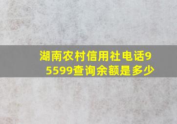 湖南农村信用社电话95599查询余额是多少