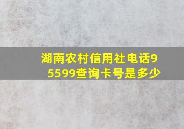 湖南农村信用社电话95599查询卡号是多少