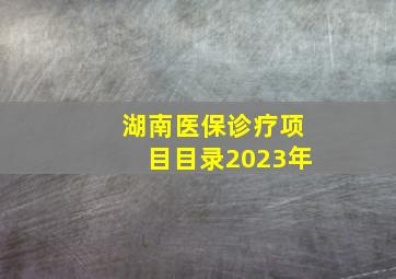 湖南医保诊疗项目目录2023年