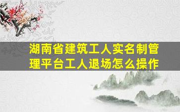 湖南省建筑工人实名制管理平台工人退场怎么操作