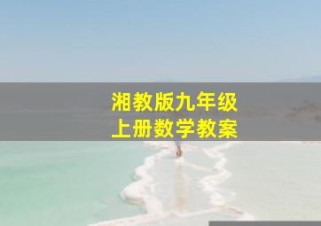 湘教版九年级上册数学教案