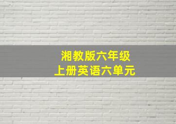 湘教版六年级上册英语六单元