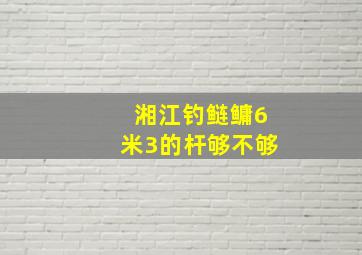 湘江钓鲢鳙6米3的杆够不够