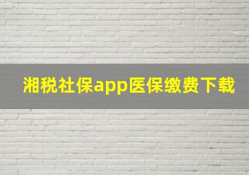 湘税社保app医保缴费下载