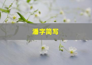 潘字简写