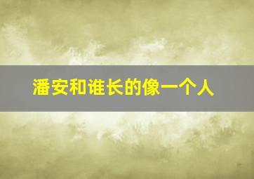 潘安和谁长的像一个人