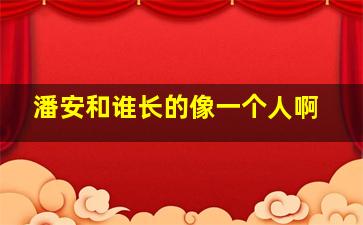 潘安和谁长的像一个人啊